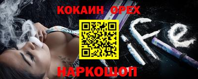 амф Кингисепп