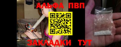 амф Кингисепп