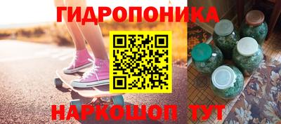 амф Кингисепп