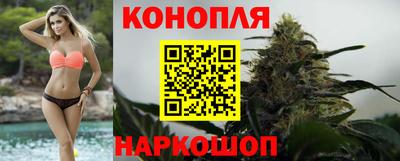 стафф Кинель