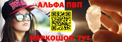 амф Кингисепп